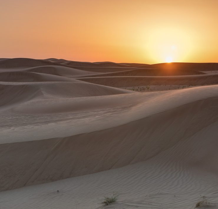 Öknen - Dubai - UAE