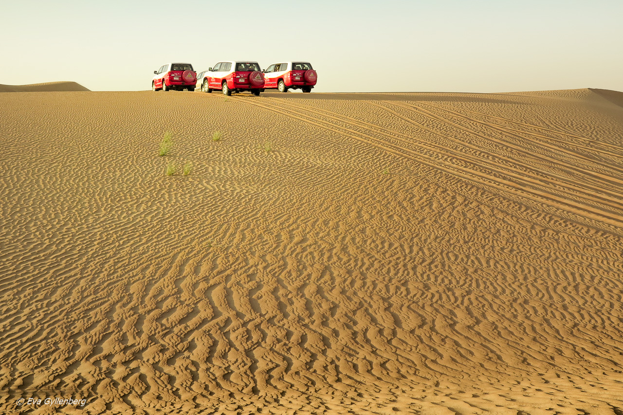 Dune bashing in the desert - Dubai - UAE