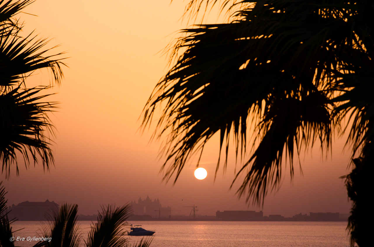 Solnedgång över the Palm Jumeria