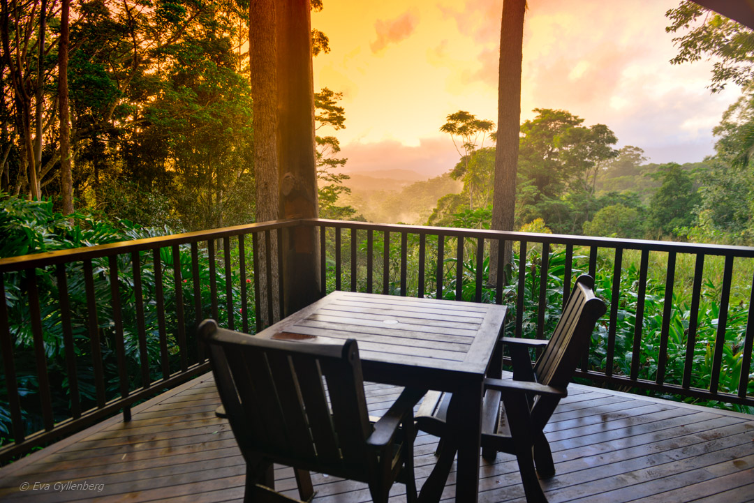 Rosegums Wilderness Retreat - Queensland