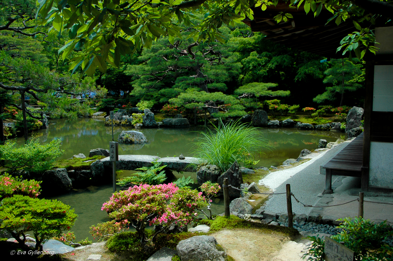 Kyoto - Japan