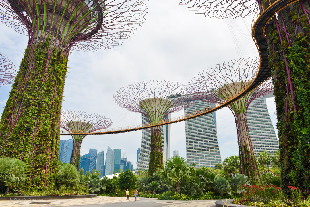 Gardens by the Bay - Singapore med barn