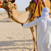 Dubai-öken-kamel