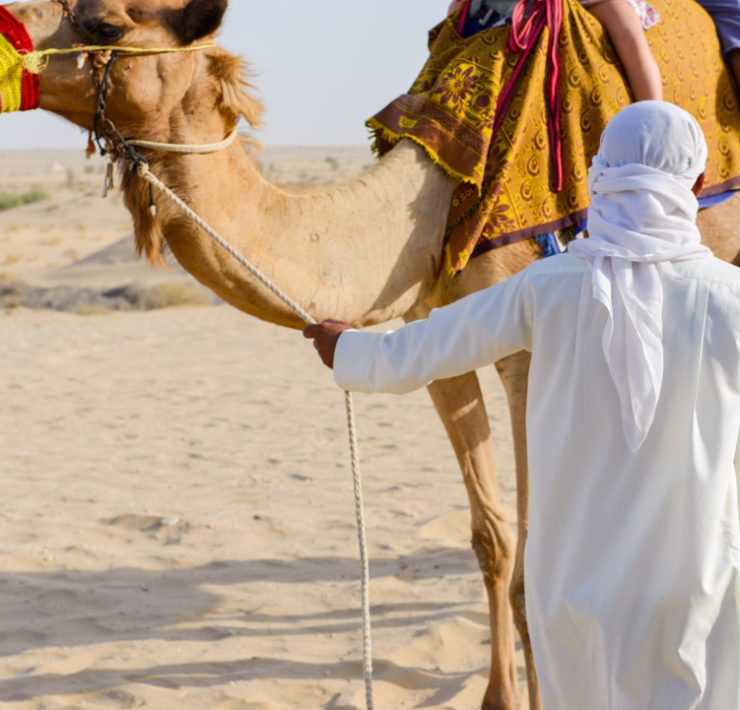 Dubai-öken-kamel