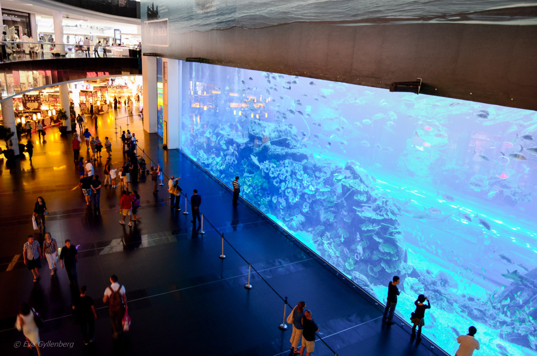 Dubai Mall 