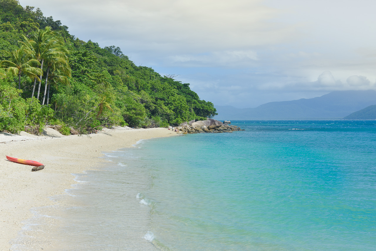 Fitzroy Island