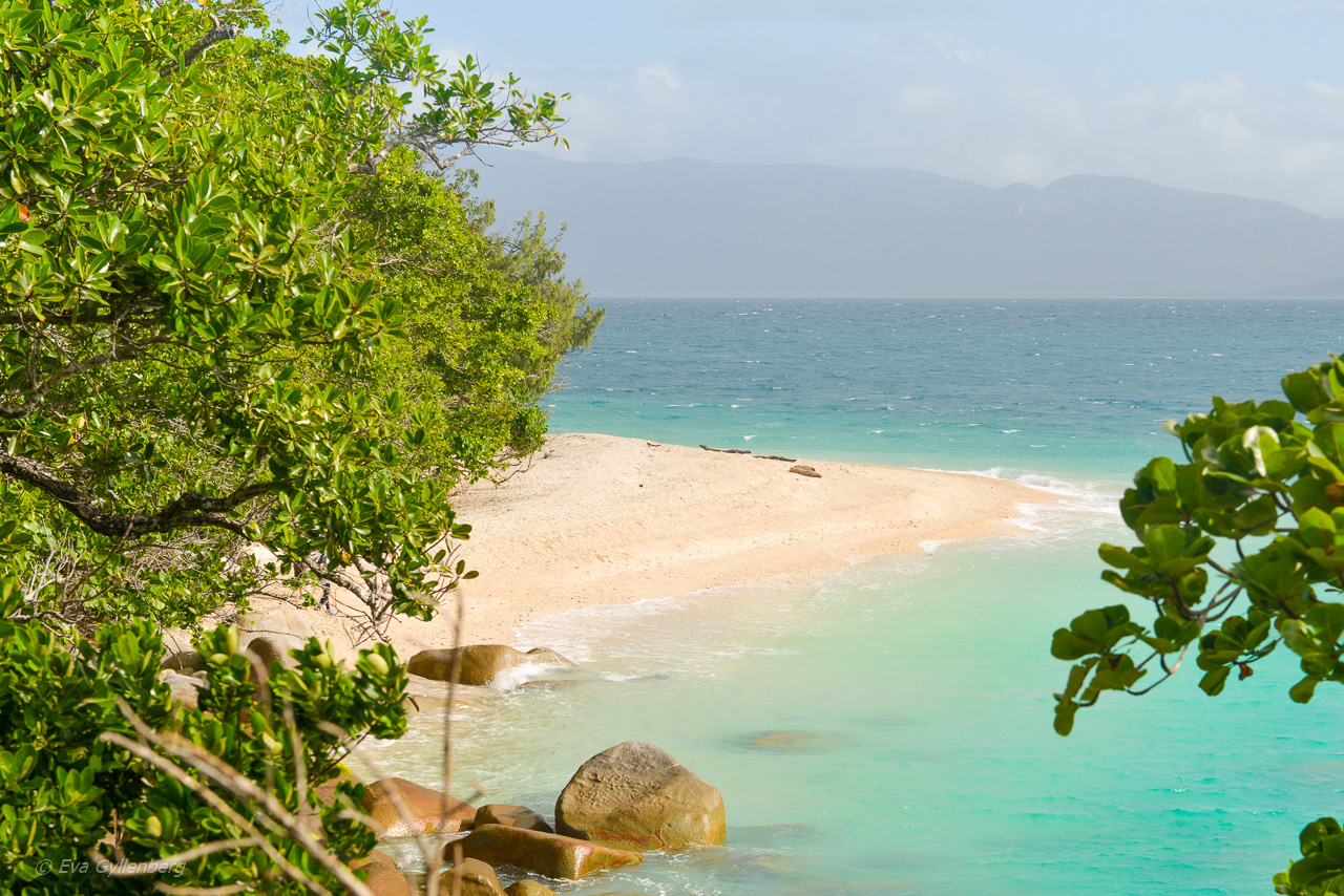 Fitzroy Island