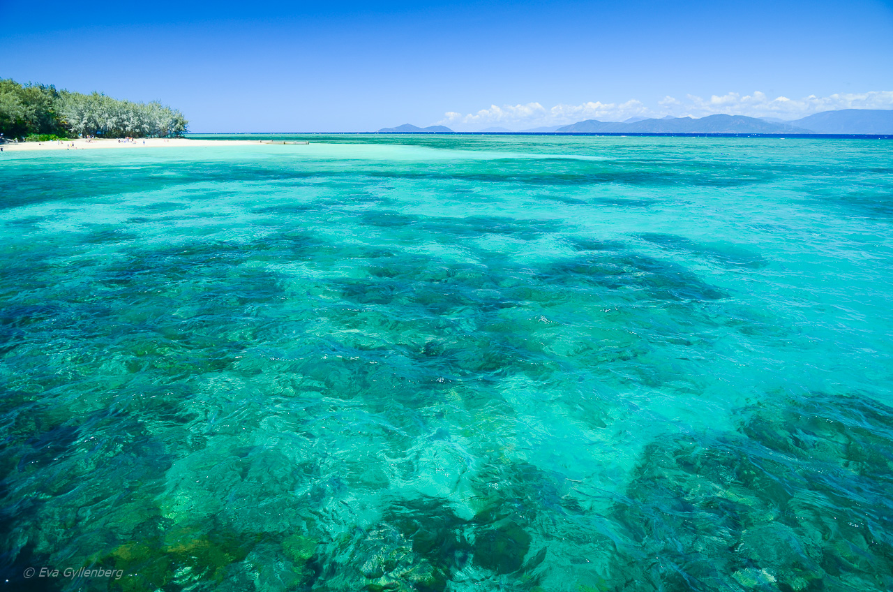 Green Island