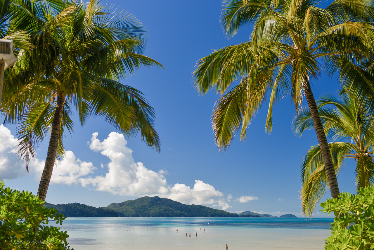Hamilton Island