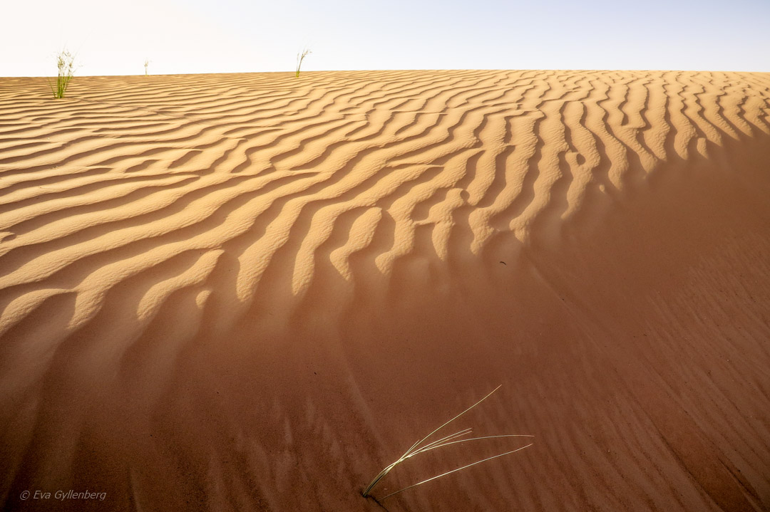 Desert United Arab Emirates