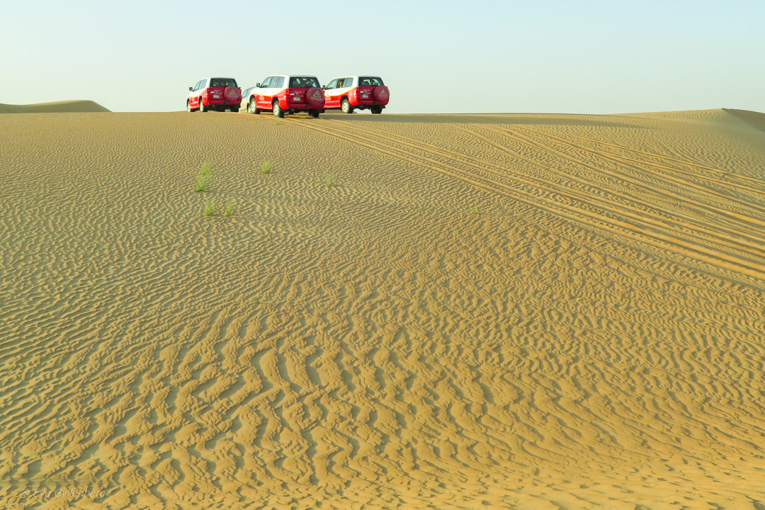 Desert adventure in Dubai
