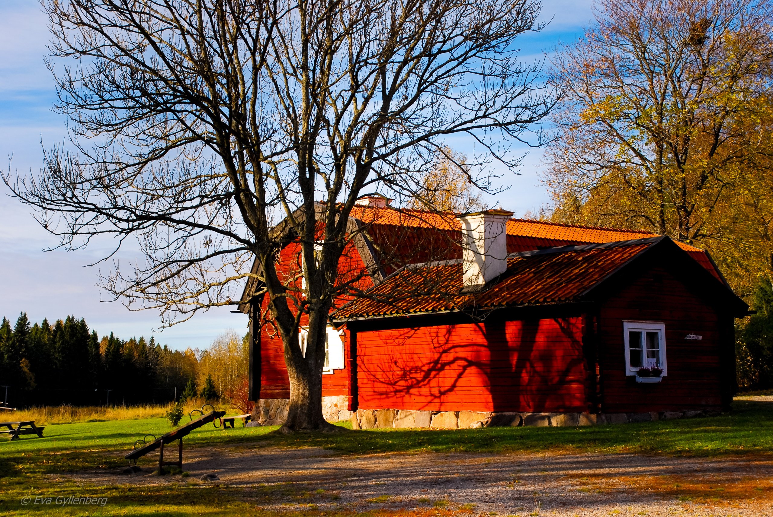 Tyresta by