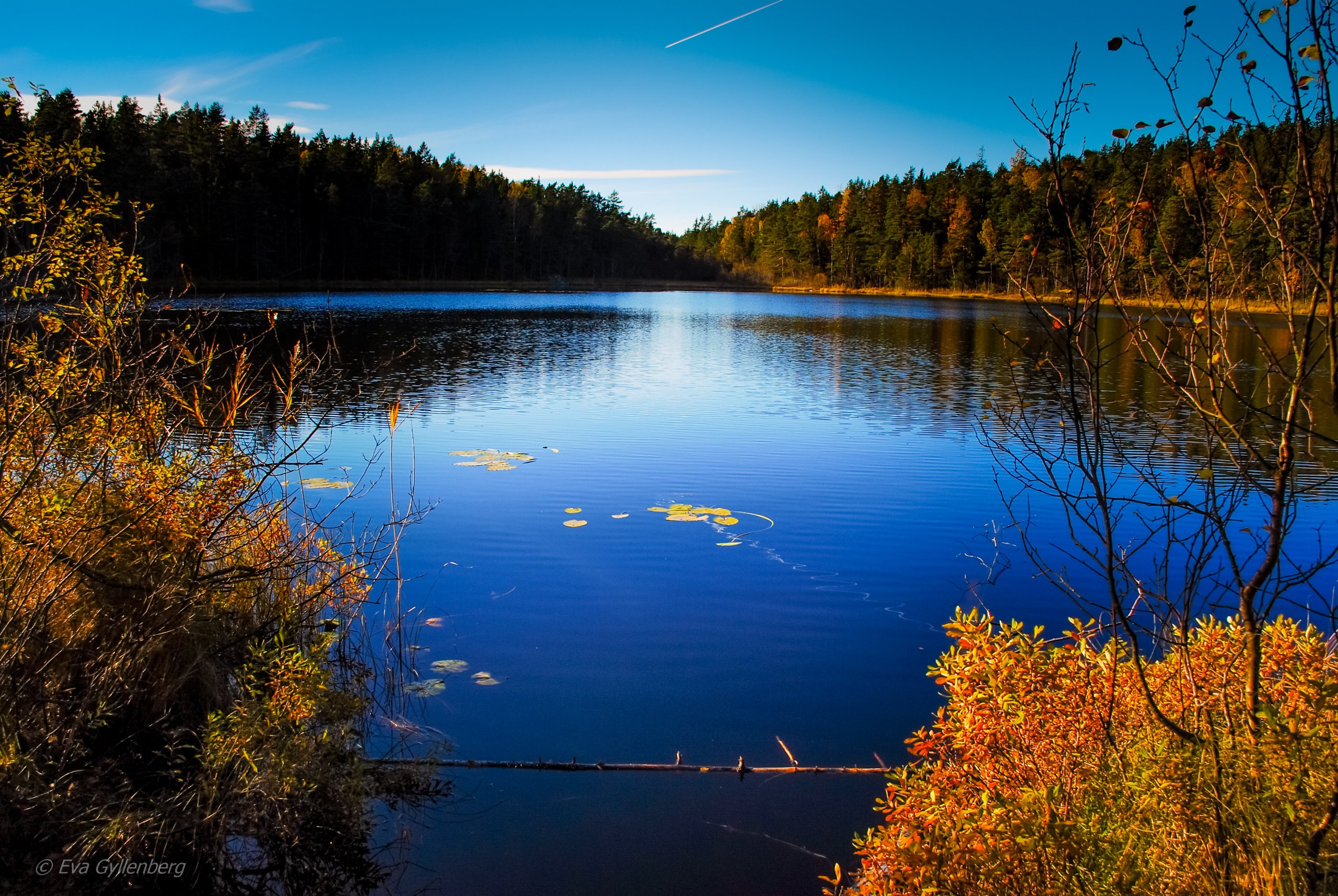 Tyresta nationalpark: Sjö