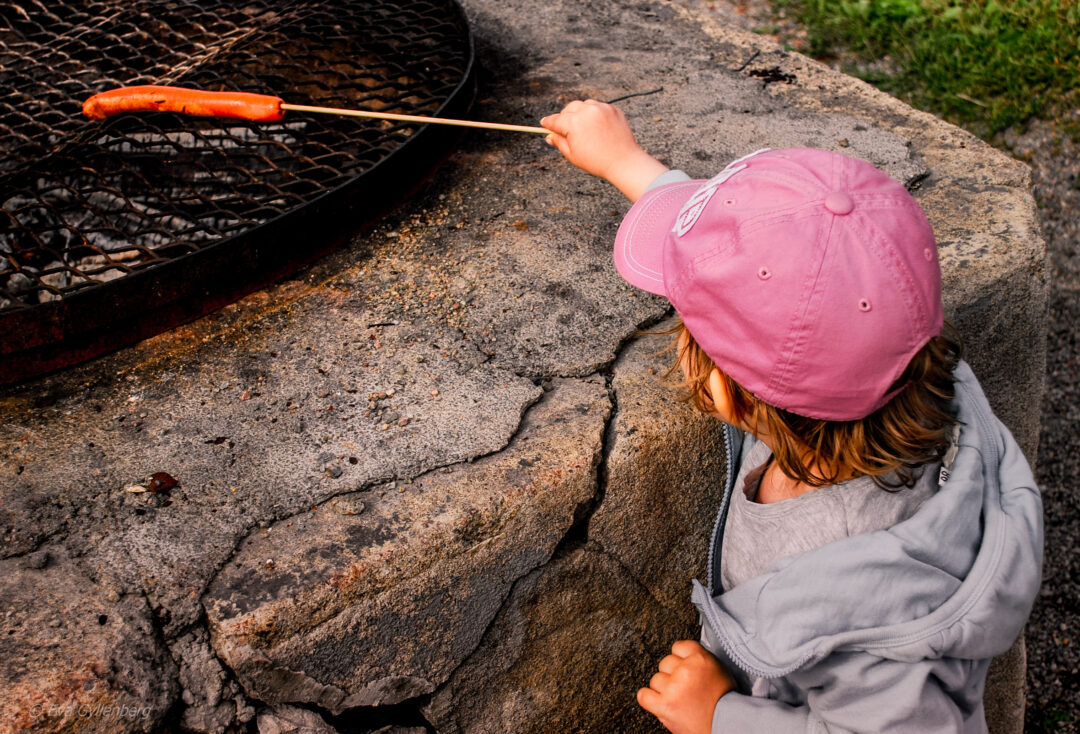 Tyresta nationalpark: Grillkorv