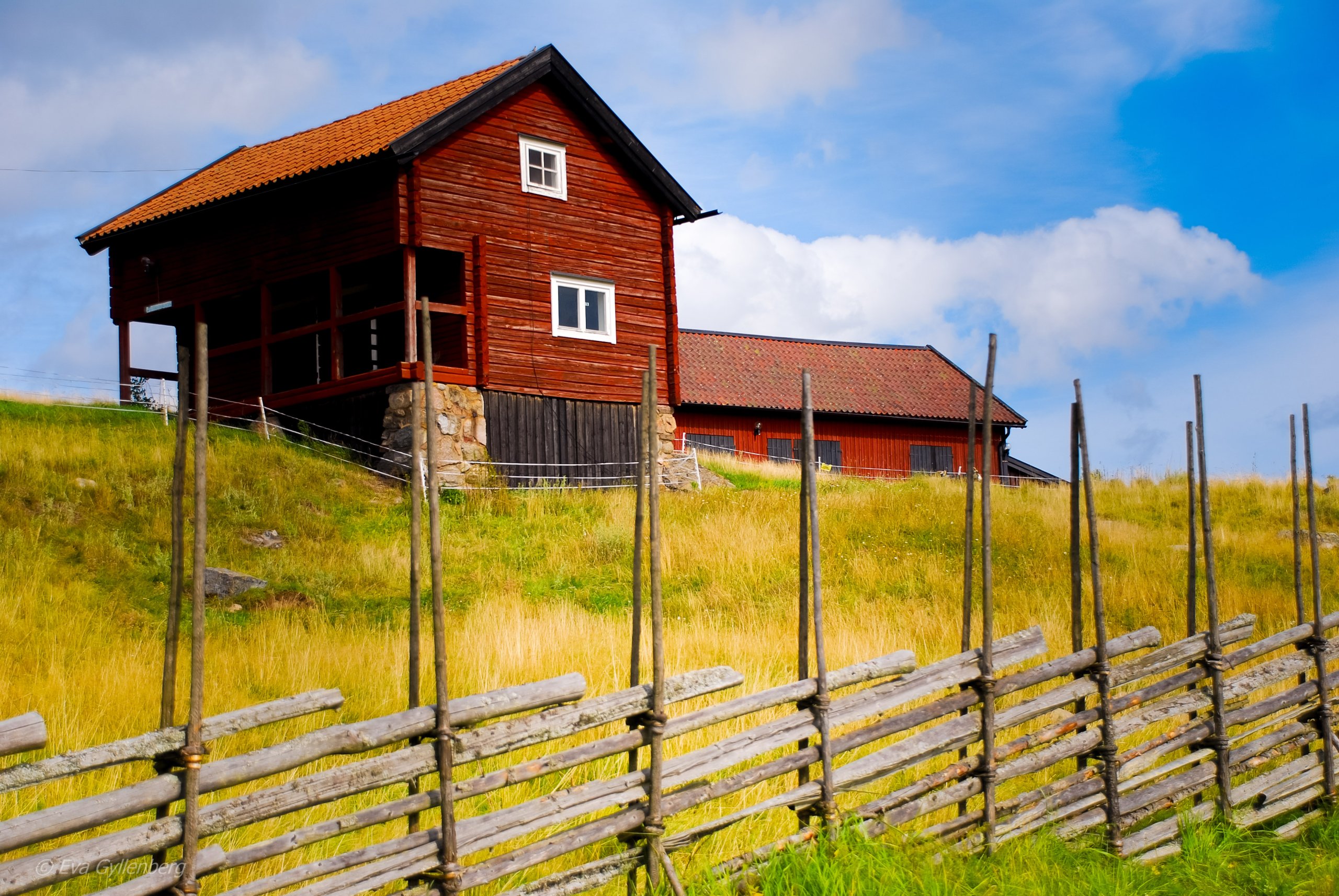 Tyresta by