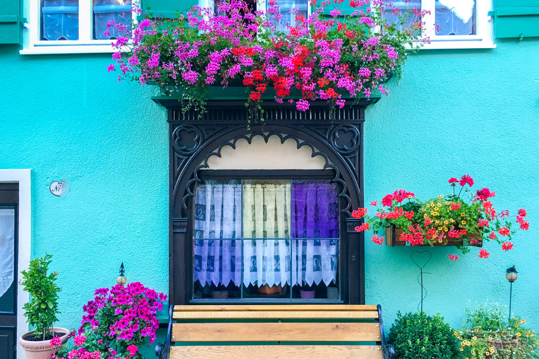 turkost hus med rosa blommor
