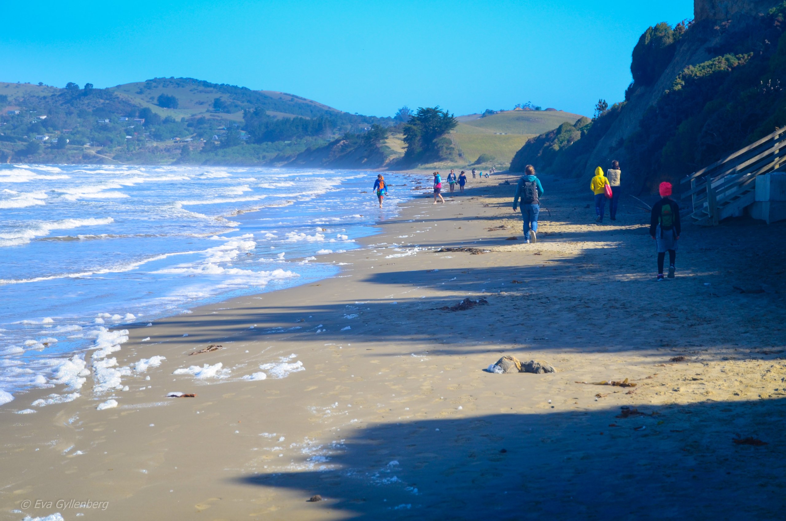 Stranden vid Moeraki Boulders - Nya Zeeland