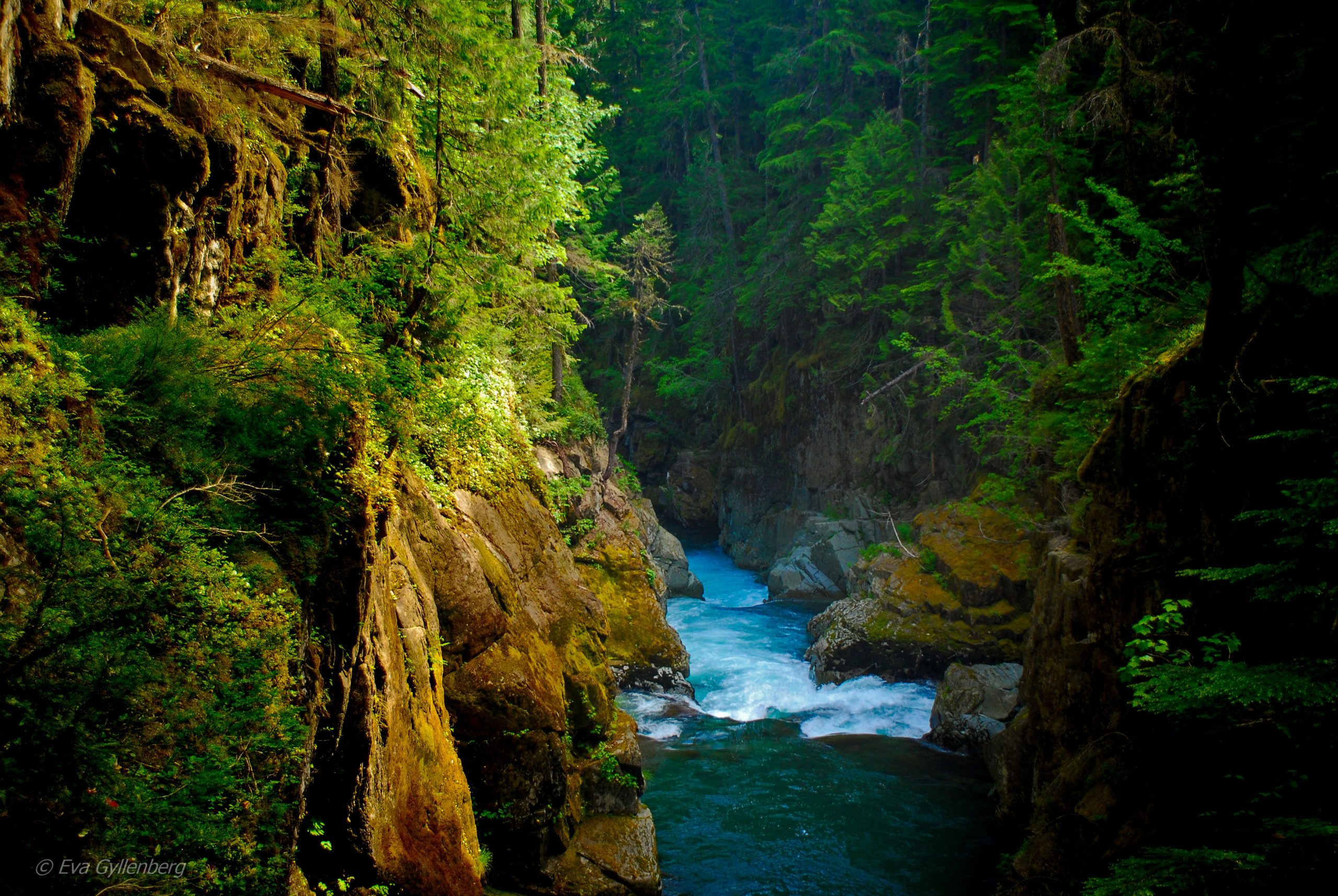 Silver falls - Mount Rainier - Washington