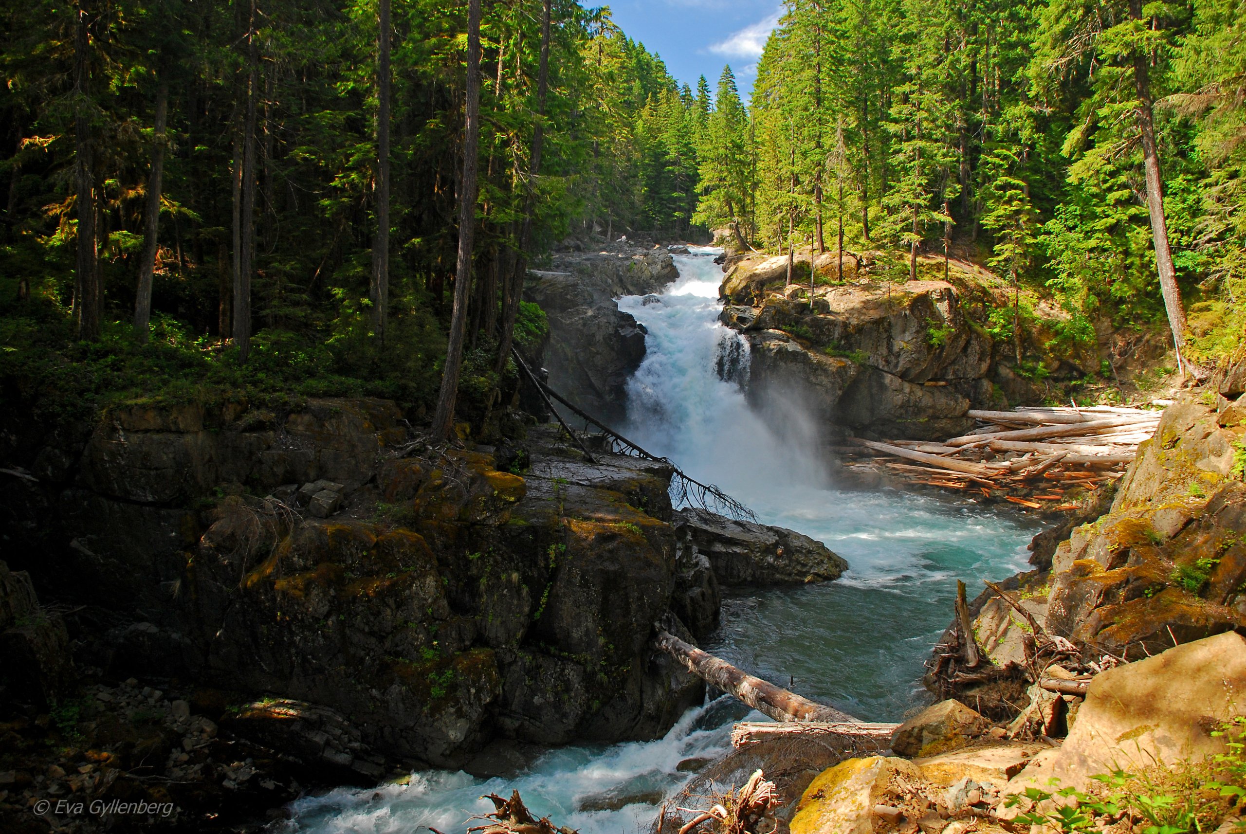 Silver falls - Mount Rainier - Washington