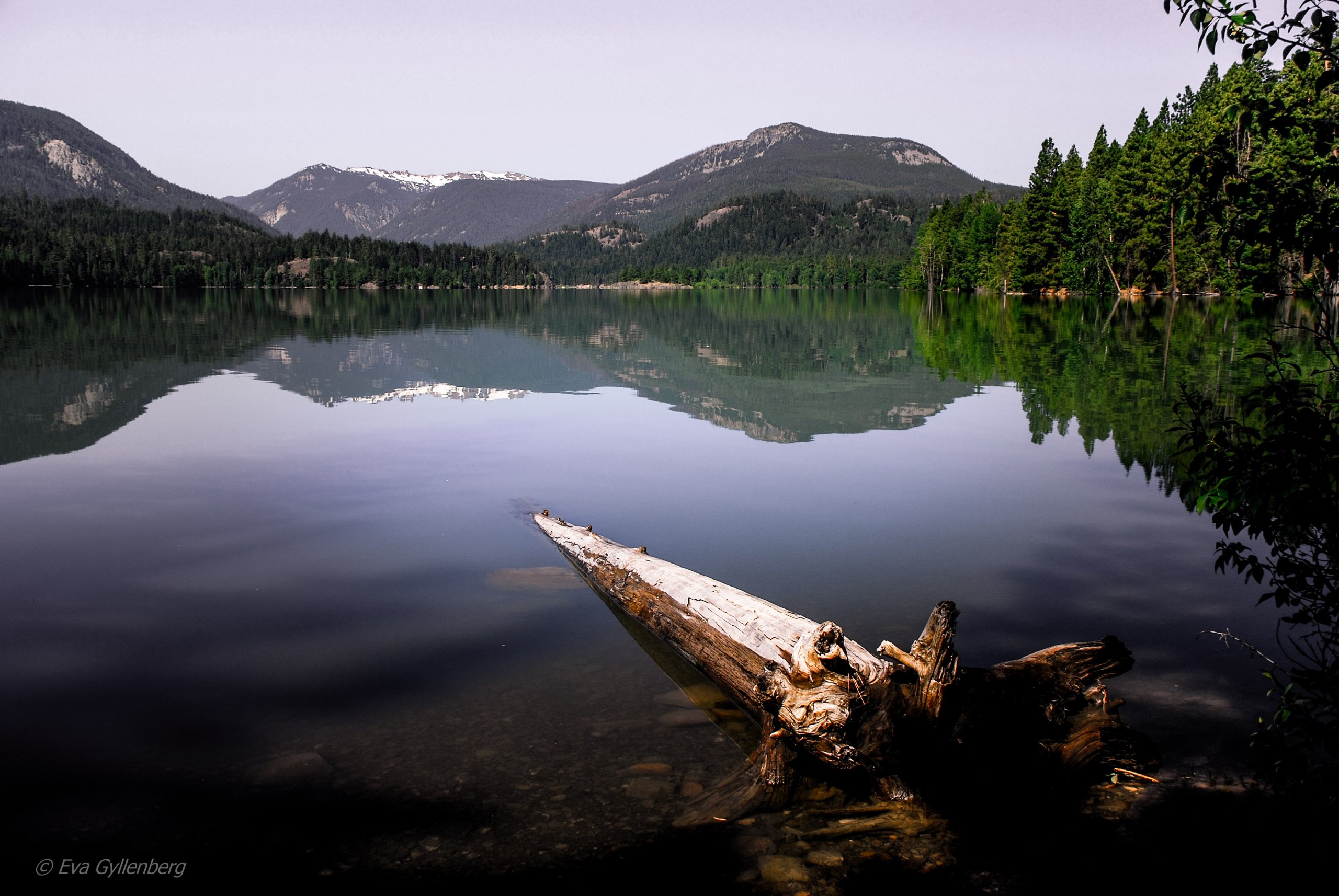 Spegelblank morgon - Mount Rainier