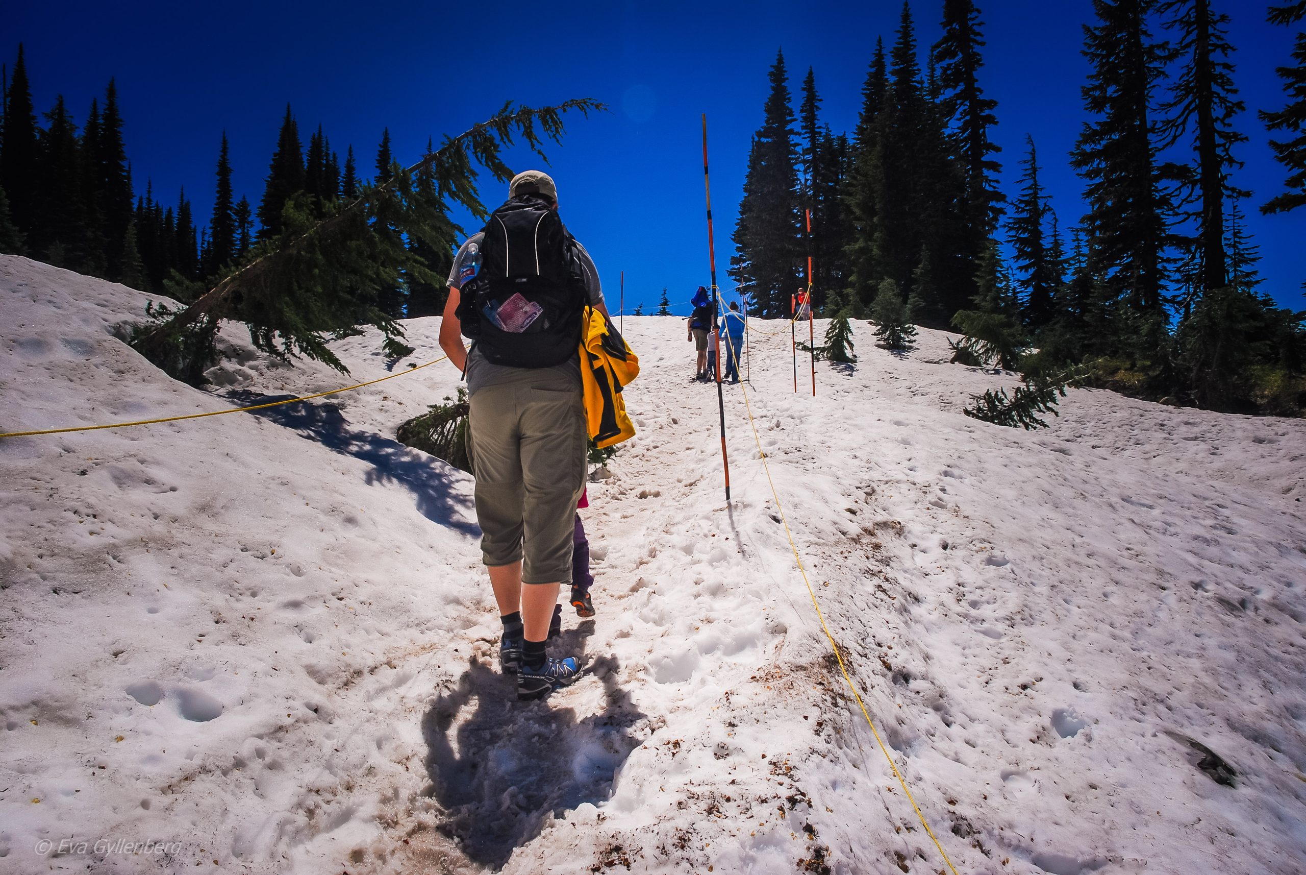 Sommarvandring på snö - Mount Rainier - Washington