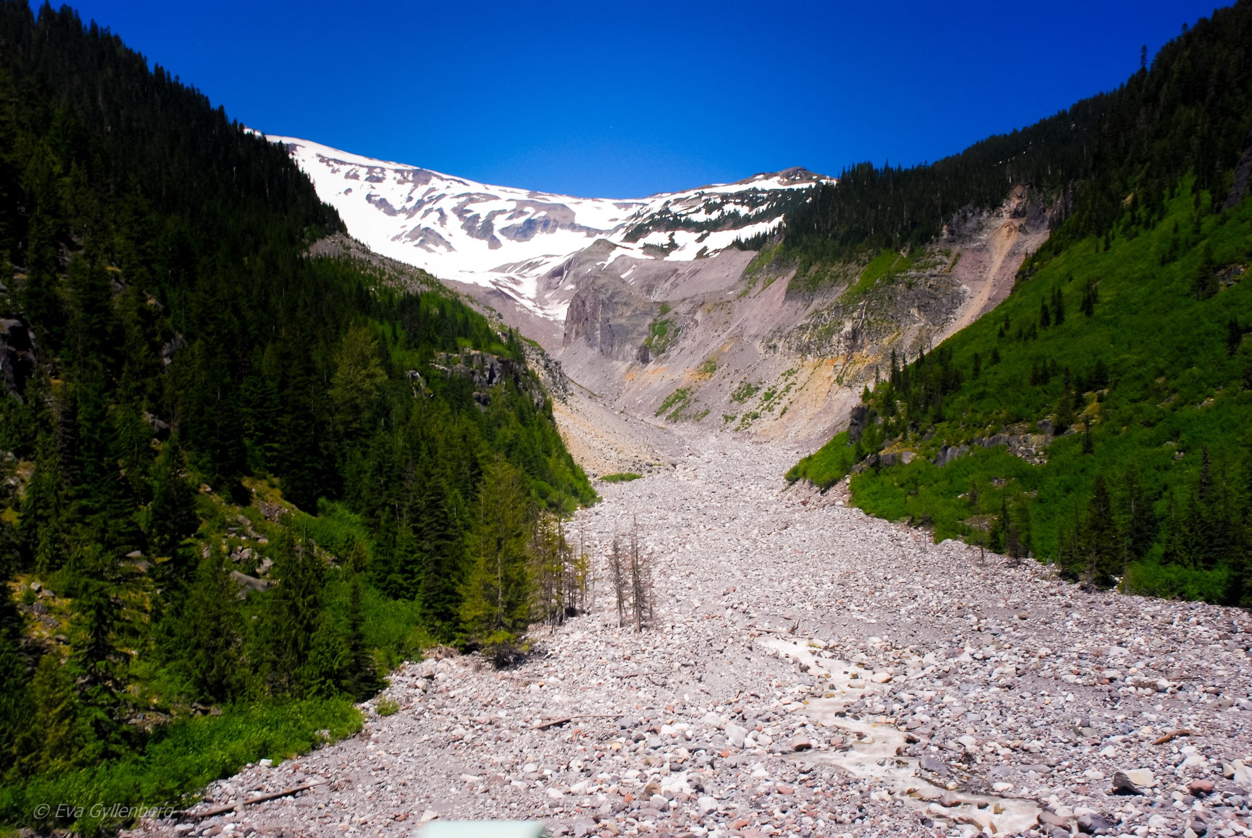 Glaciär - Mount Rainier - Washington