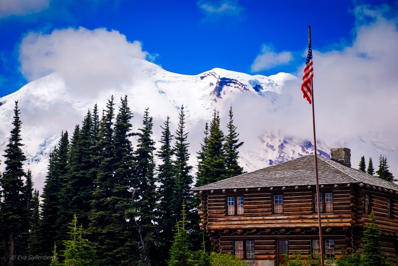 Nationalpark - Mount Rainier - Washington