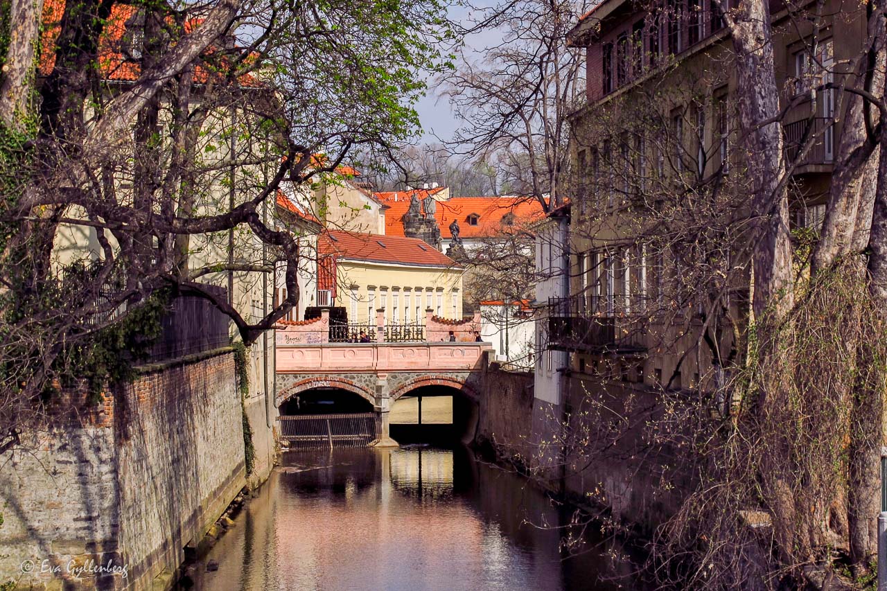 Kampa island - Prag