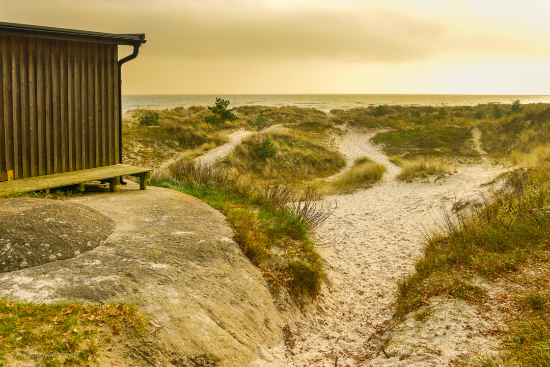 Sandhammaren