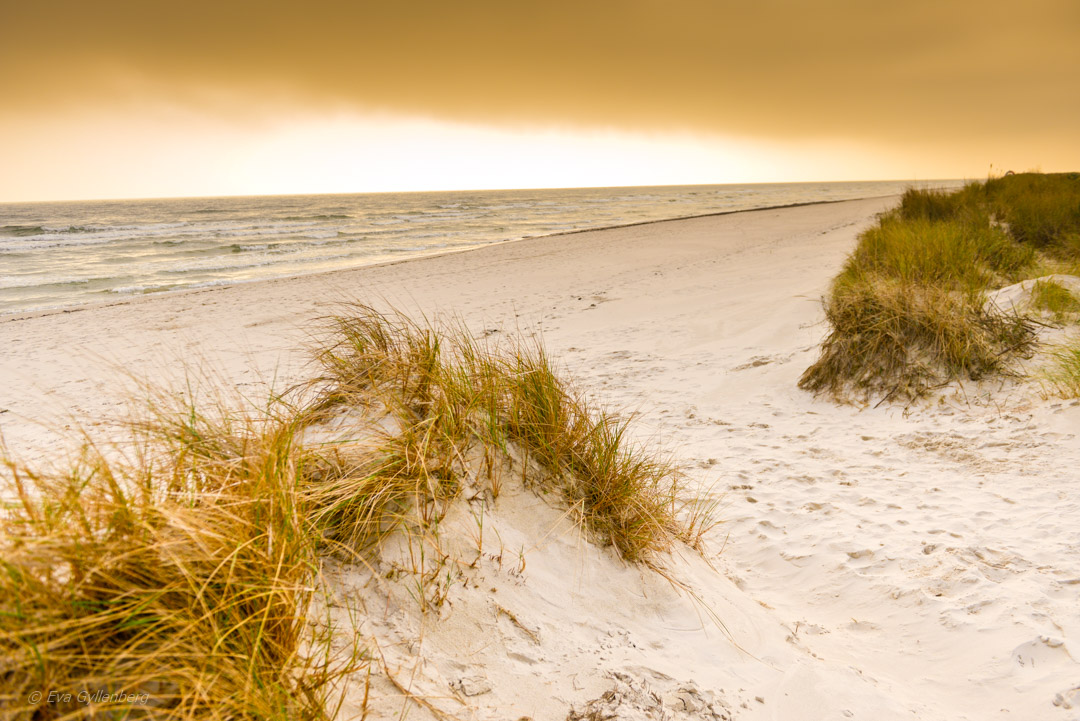 Sandhammaren