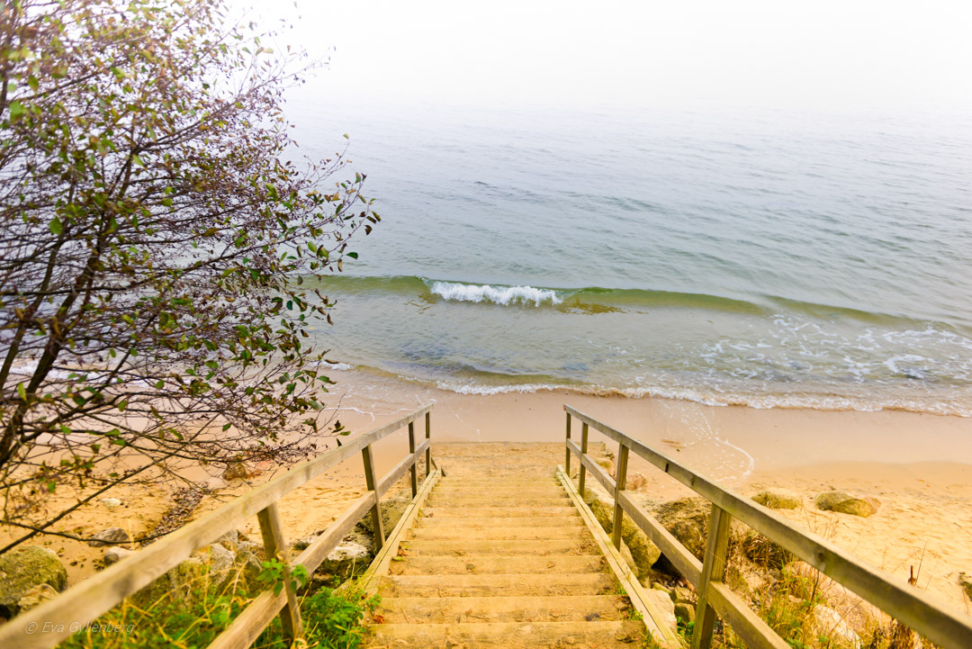 Stranden vid Knäbäckshusen