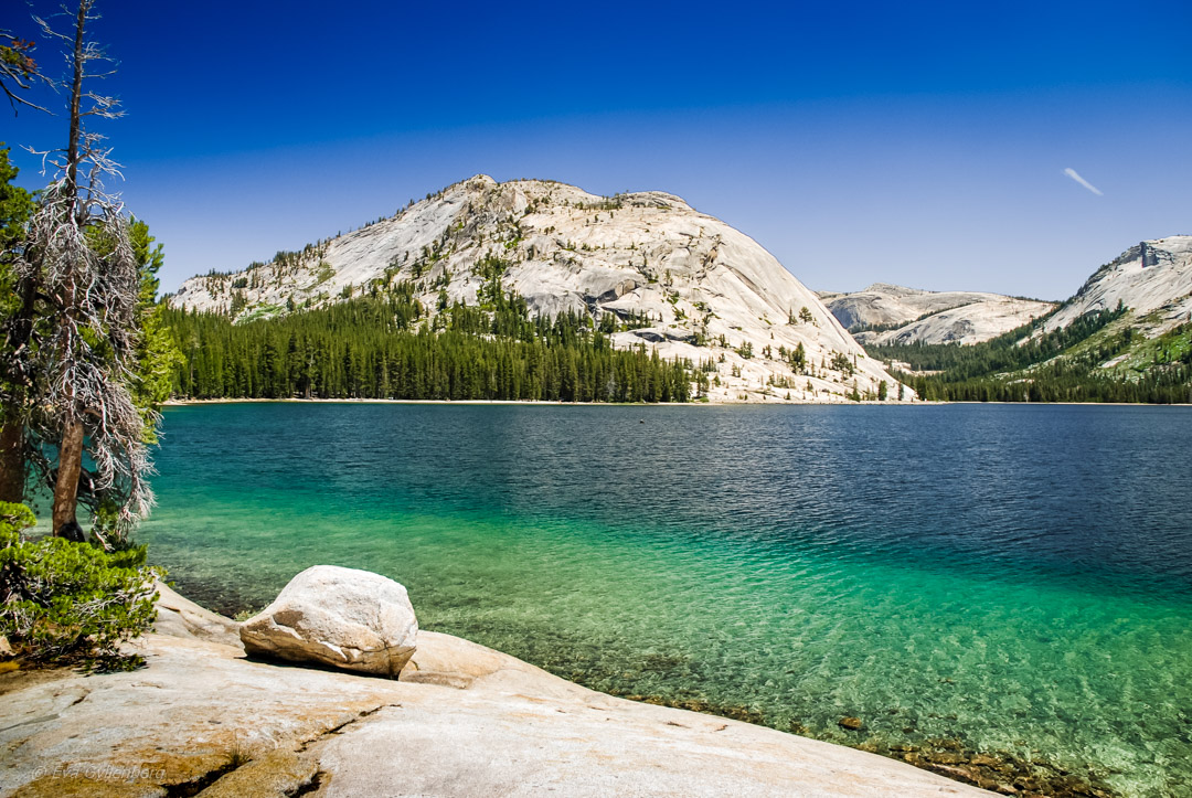 Tioga Pass - Yosemite