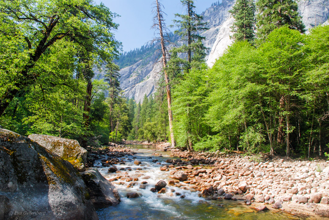 Yosemite nationalpark med rinnande åar