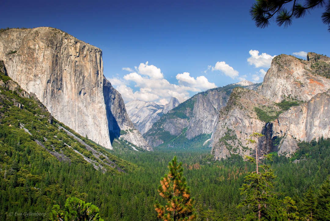 Tunnel View - Yosemite