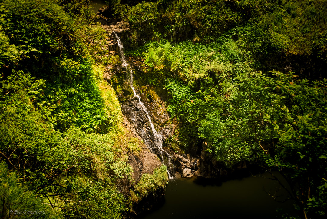 Road to Hana - Maui - Hawaii
