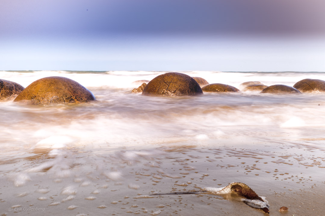 Moeraki Boulders 