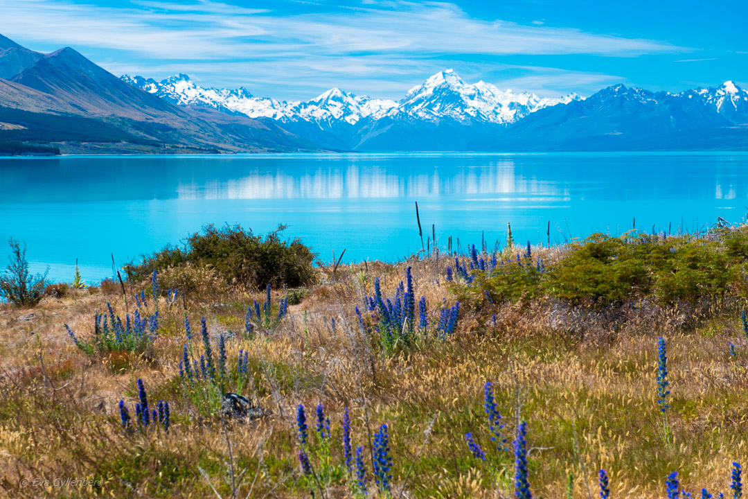 Mount Cook från Lake Tekapo