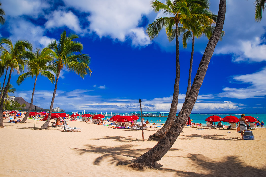 Oahu-Hawaii-Waikiki