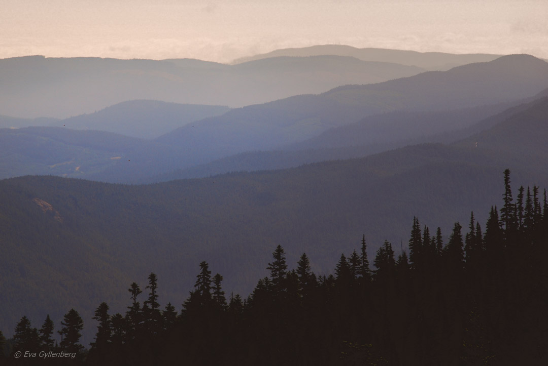 Olympic National Park 