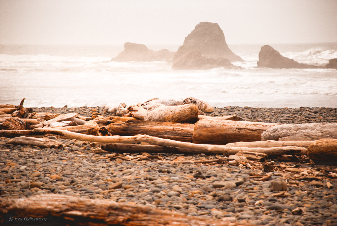 Ruby beach Olympic National Park - Washington - USA