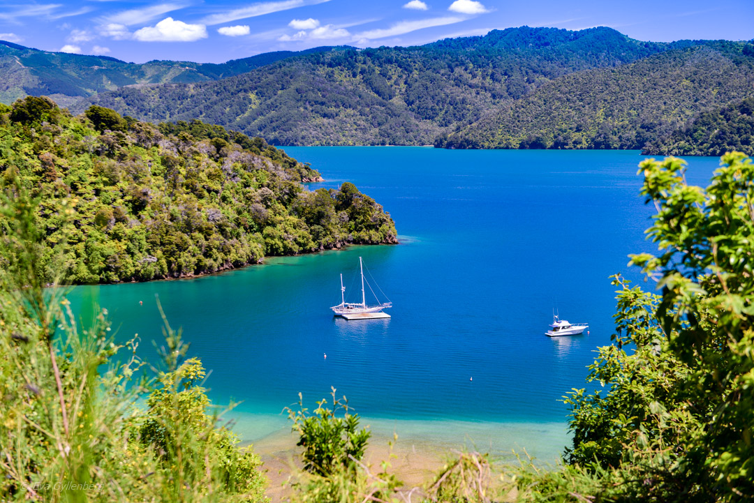 Queen Charlotte Sound