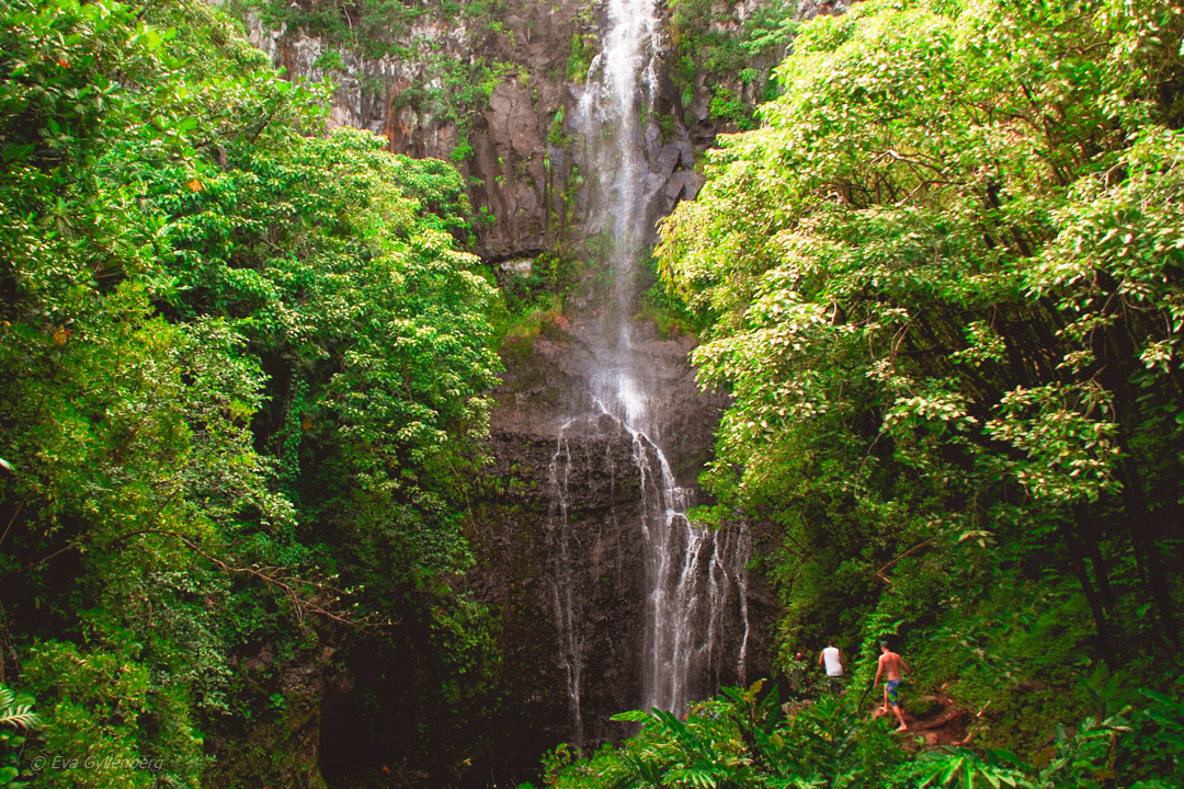 Wailua Falls - Rpad to Hana - Maui - Hawaii