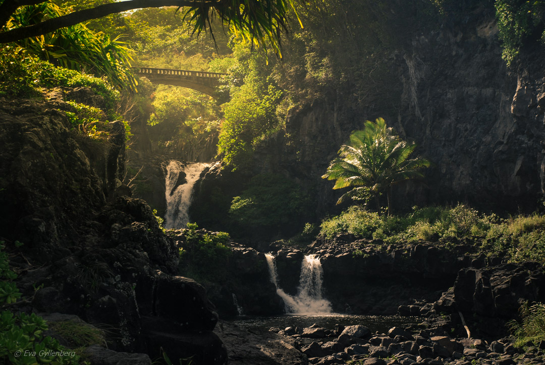 Pools of `Ohe`o - Road to Hana - Maui - Hawaii
