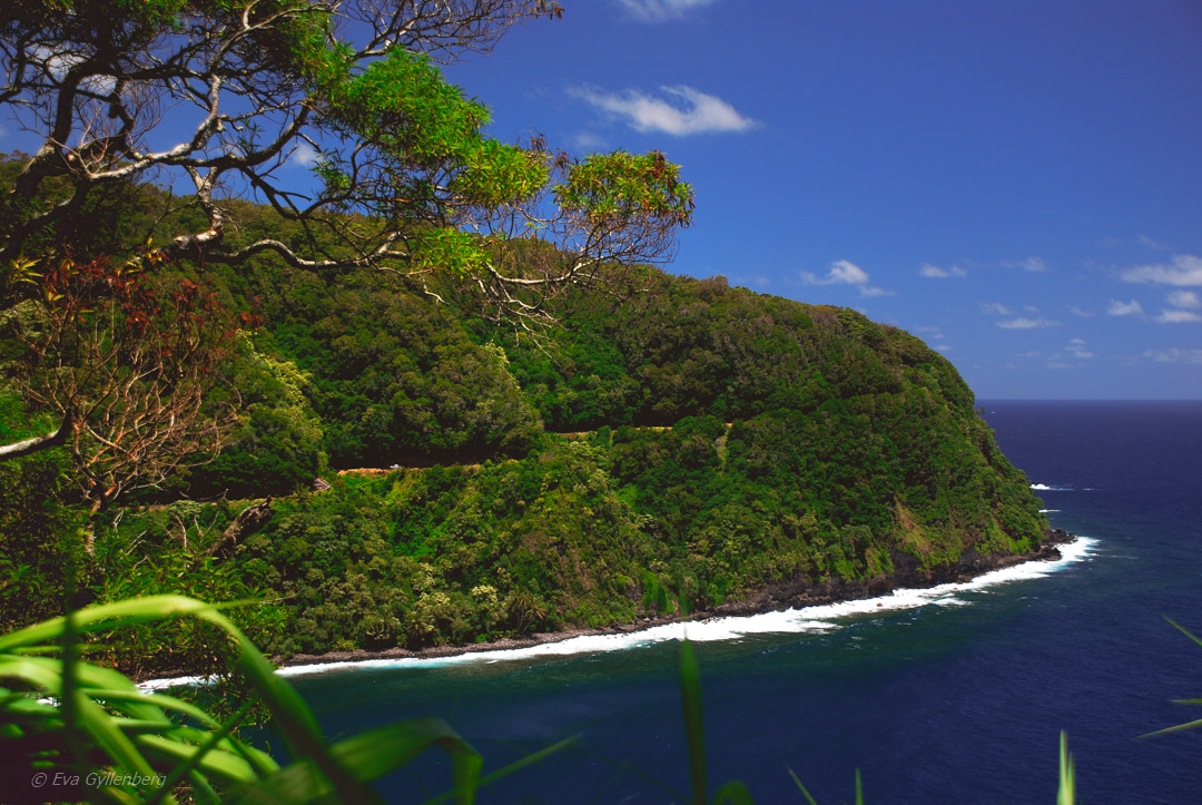Road to Hana - Maui - Hawaii