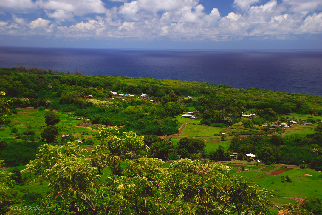 Road-to-Hana-Maui-Hawaii (4)