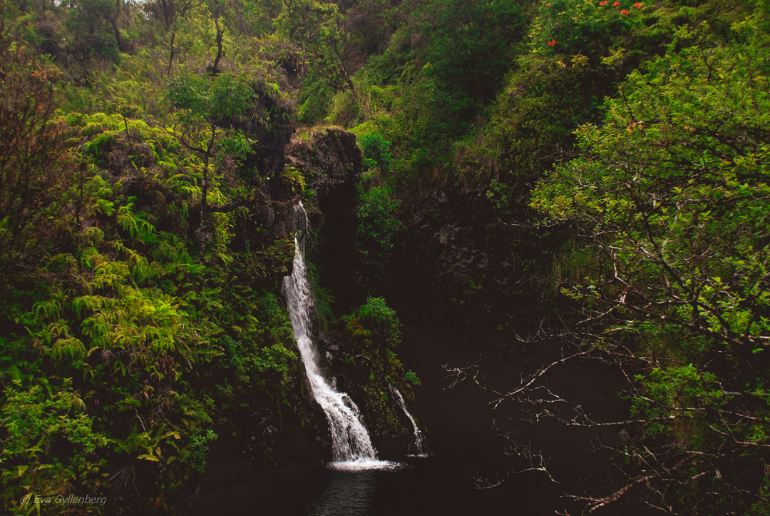 Road to Hana - Maui - Hawaii