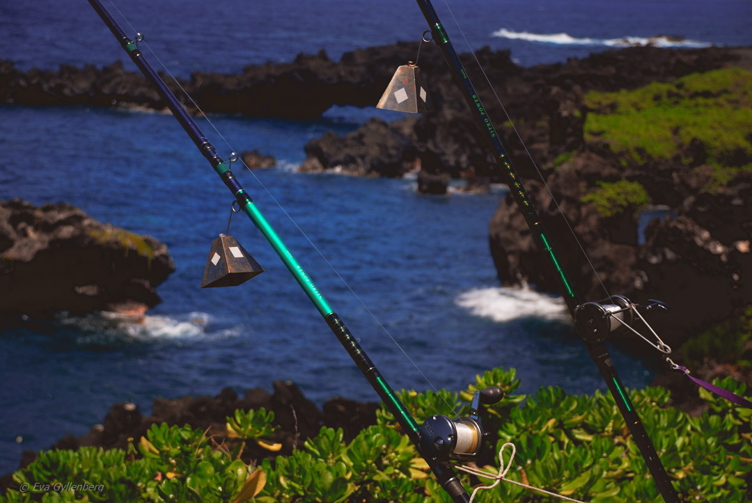 Road to Hana - Maui - Hawaii