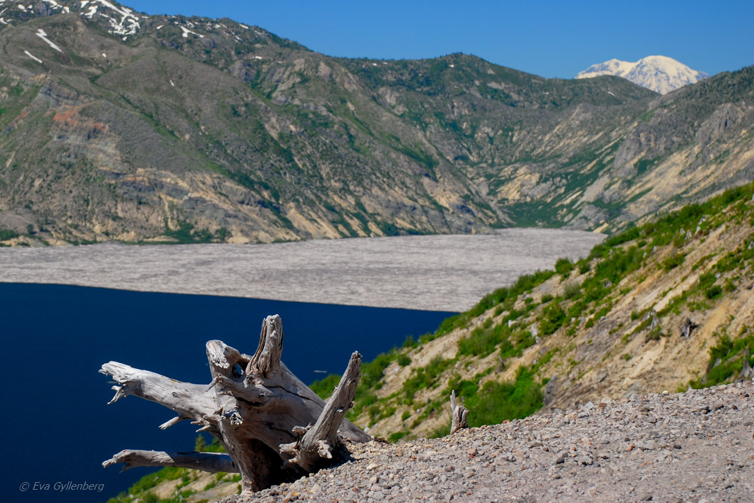 Mount St Helens