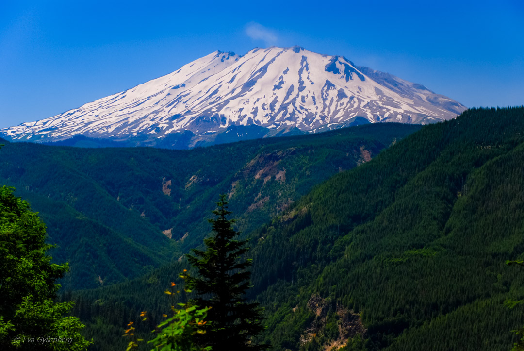 Mount St Helens