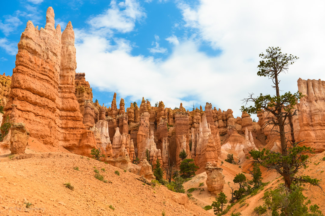Bryce Canyon -Utah